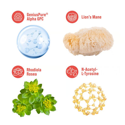 SuperFocus — Fuel Your Mind, Master Your Day