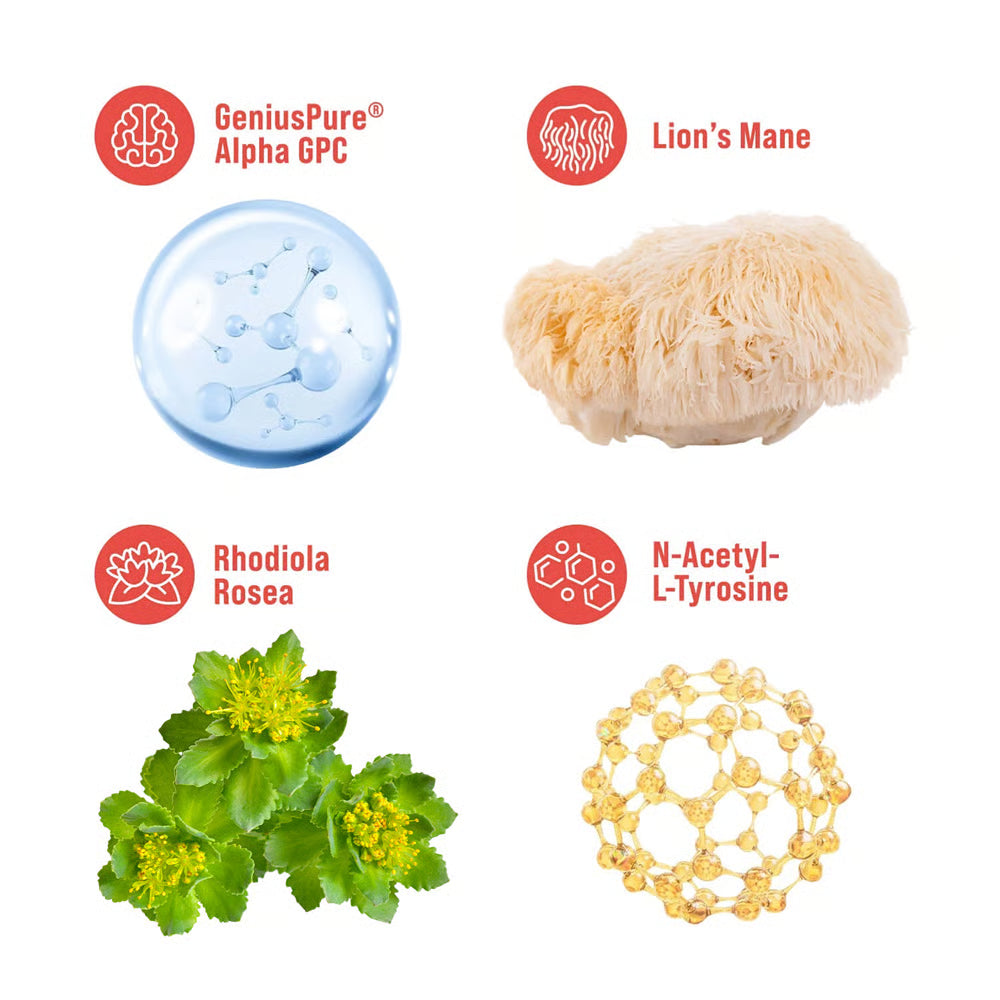 SuperFocus — Fuel Your Mind, Master Your Day